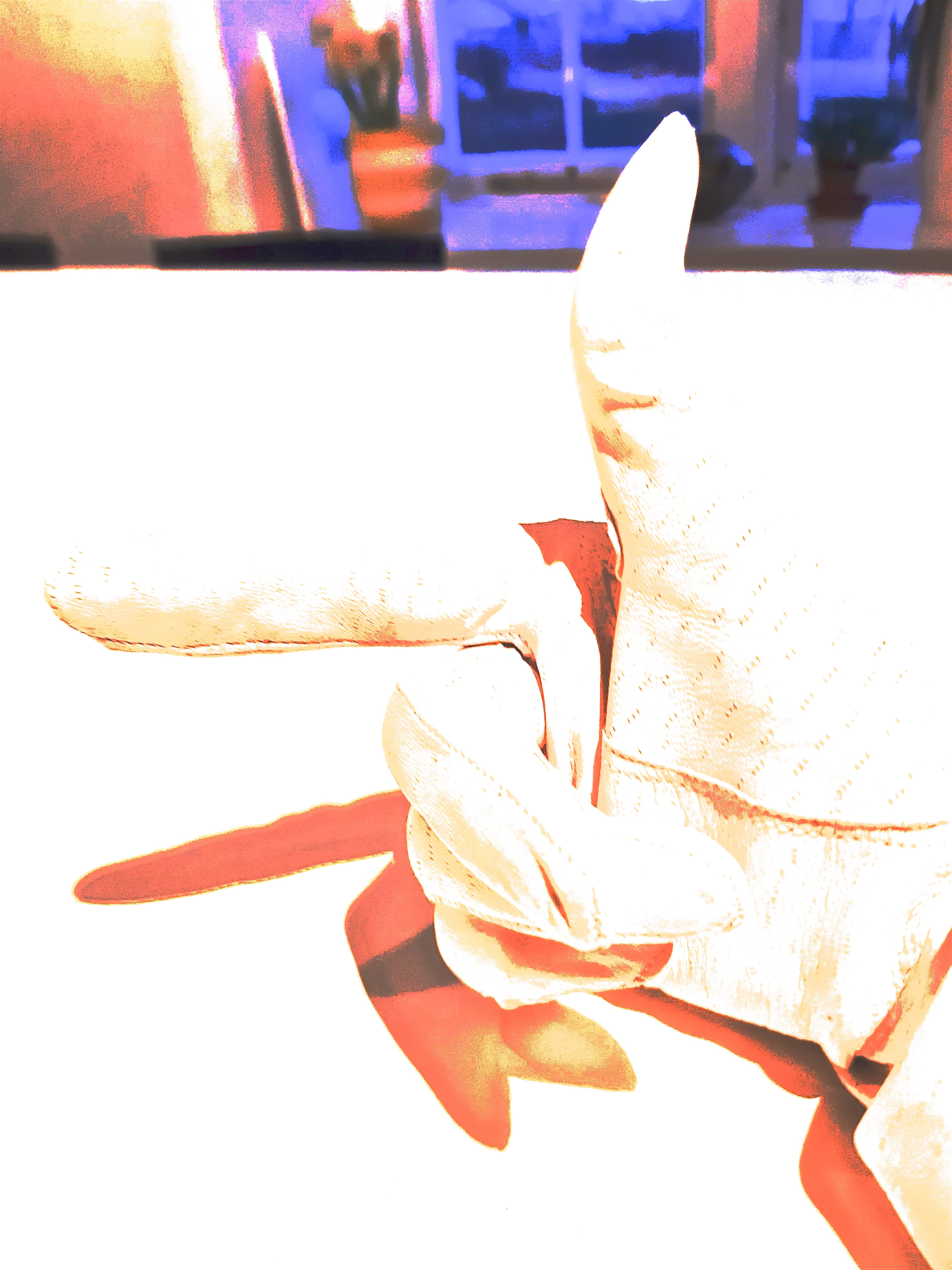 Cream coloured leather gloved hand pointing a finger. Bleached out image, with a colourful abstract rectangle at the top of the page.